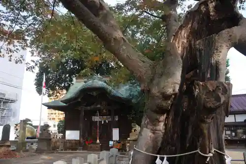 阿邪訶根神社の本殿・本堂