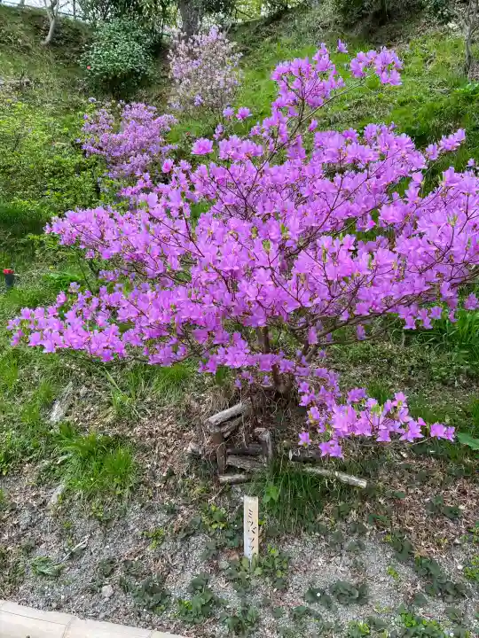 石清水八幡宮(京都府)