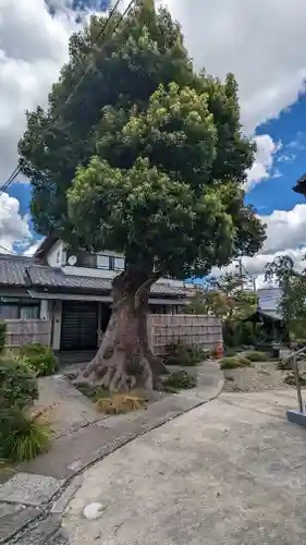 福田寺(京都府)
