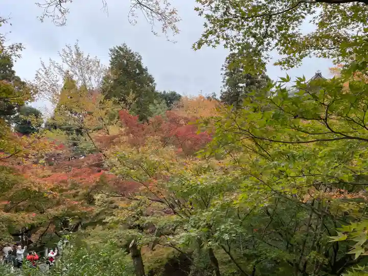 東福禅寺(東福寺)(京都府)
