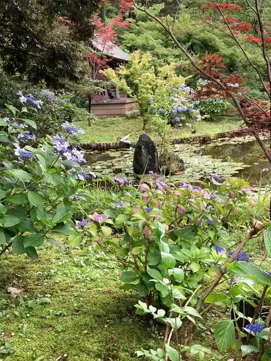 本土寺(千葉県)