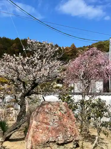 赤岩寺(愛知県)