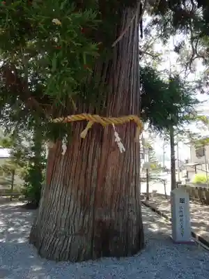 飛驒一宮水無神社(岐阜県)