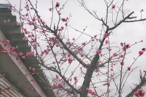 立浪稲荷大明神の自然