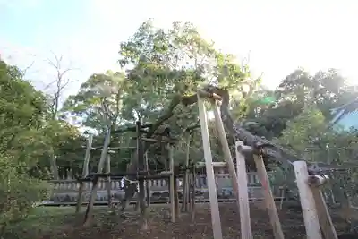 三嶋大社(静岡県)