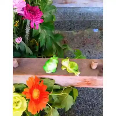 彌彦神社　(伊夜日子神社)の手水舎