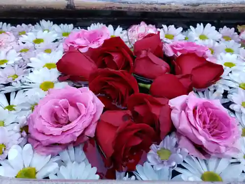 法輪寺の手水舎