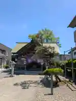 亀田龍神社の{uncategorized: "未分類", other: "その他", undefined: "問題あり", building: "その他建物", grave: "お墓", sacred_gate: "鳥居", guardian: "狛犬", statue: "像", buddha: "仏像", history: "歴史", nature: "自然", garden: "庭園", animal: "動物", pagoda: "塔", temizu: "手水舎", mountain_gate: "山門・神門", sanctuary: "本殿・本堂", subordinate: "末社・摂社", art: "芸術", scenery: "景色", jizo: "地蔵", ema: "絵馬", goshuin: "御朱印", omikuji: "おみくじ", items: "授与品その他", amulet: "お守り", goshuincho: "御朱印帳", eats: "食事", festival: "お祭り", votive_dance: "神楽", shichigosan: "七五三参", wedding: "結婚式", experience: "体験その他", initially: "初詣", around: "周辺", anti_infection: "感染症対策"}