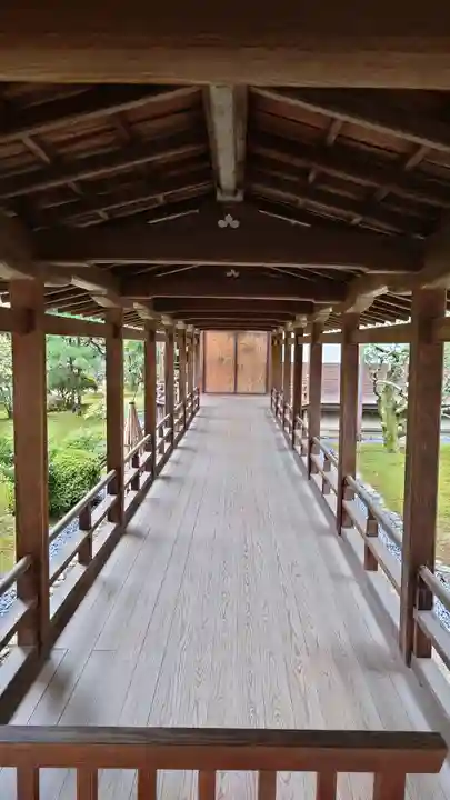 大覚寺(京都府)