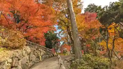 柳谷観音　楊谷寺(京都府)