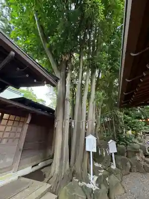 検見川神社(千葉県)