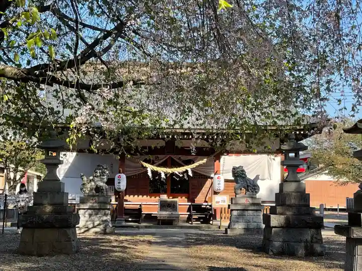 結城諏訪神社の本殿・本堂