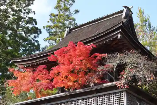 高野山金剛峯寺奥の院(和歌山県)