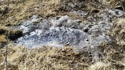 箱根元宮の自然