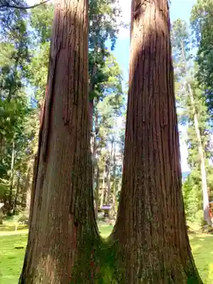 平泉寺白山神社のその他建物