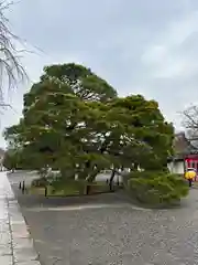 醍醐寺(京都府)