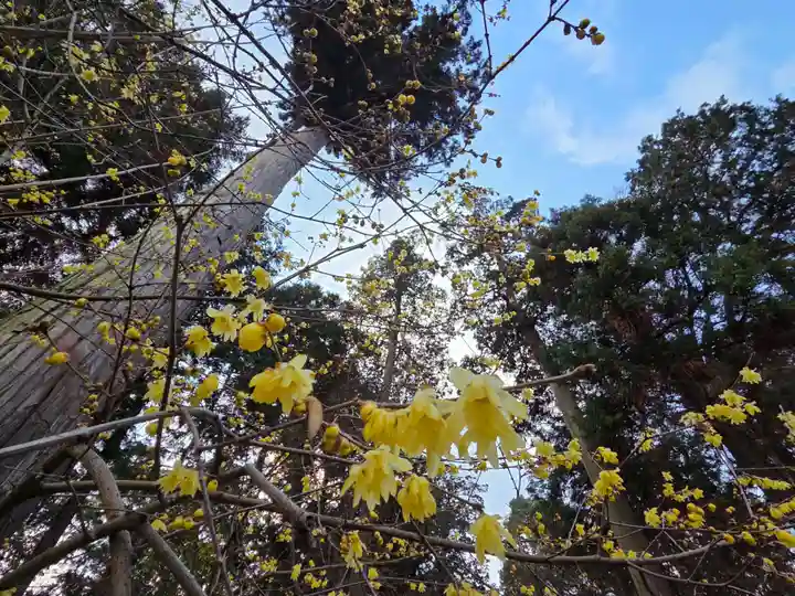 沙沙貴神社(滋賀県)