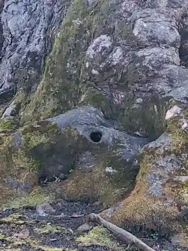 秩父今宮神社の自然