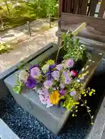 勝林寺の手水舎