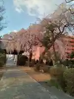 泰心院(宮城県)