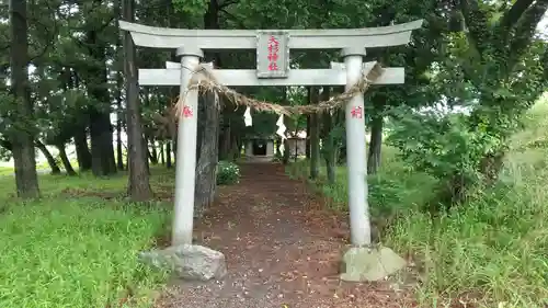 大杉神社(栃木県)