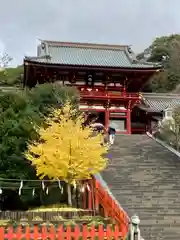 鶴岡八幡宮の山門