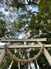 白鳥神社の鳥居