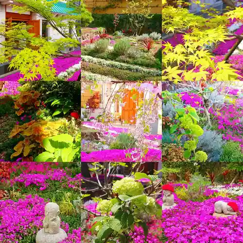 寿量山　速成寺(奈良県)