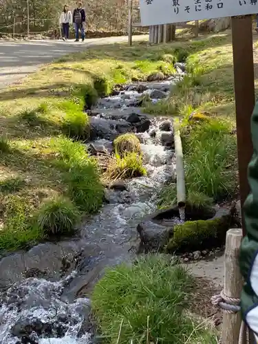 諏訪大社上社前宮の自然