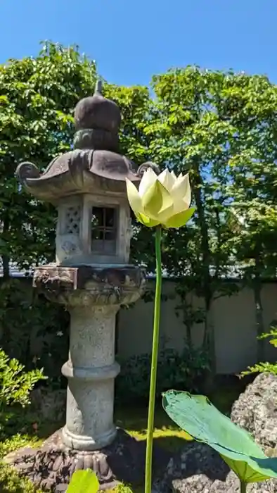 長興院の建物その他