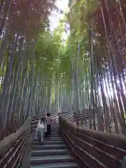 化野念仏寺の周辺