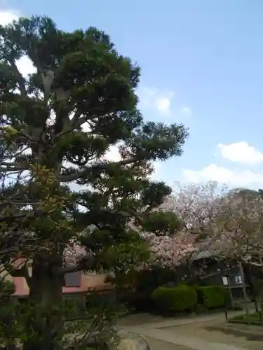 極楽寺（霊鷲山感應院極楽律寺）の自然