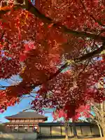 興福寺(奈良県)