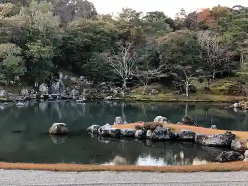 天龍寺の庭園