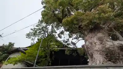 極楽寺(大阪府)