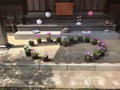 谷中 妙福寺(東京都)