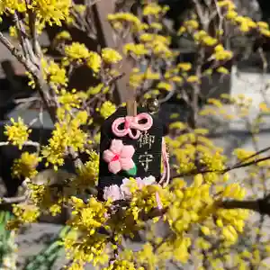 高司神社〜むすびの神の鎮まる社〜(福島県)(2024年03月30日(土) 09時42分55秒投稿)