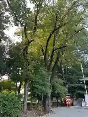 鈴鹿明神社(神奈川県)