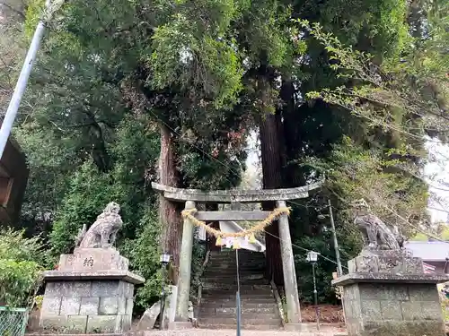 神門神社(宮崎県)
