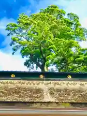 鹿島神宮の建物その他