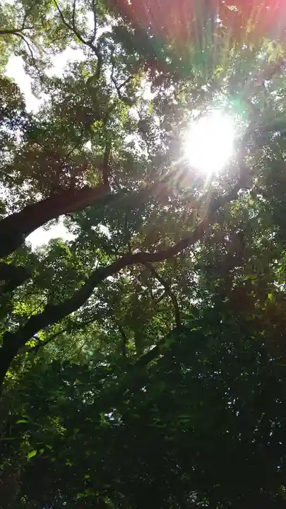 熱田神宮の自然