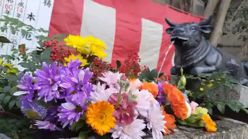 菅原院天満宮神社の初詣