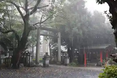 くまくま神社(導きの社 熊野町熊野神社)の鳥居