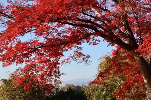 八幡神社の景色