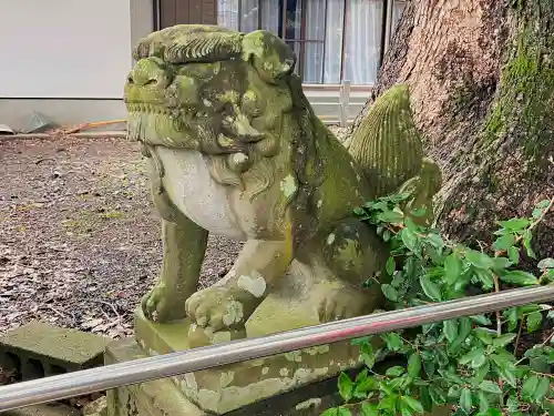 山王神社の狛犬