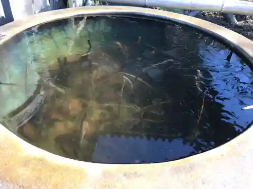 妙蓮寺(神奈川県)