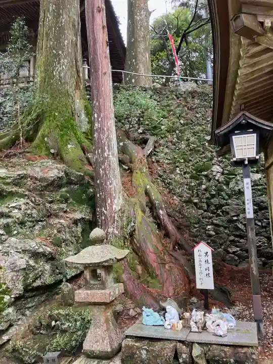 太龍寺(徳島県)