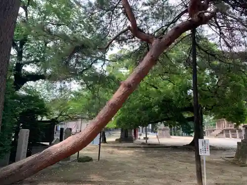 総願寺(埼玉県)