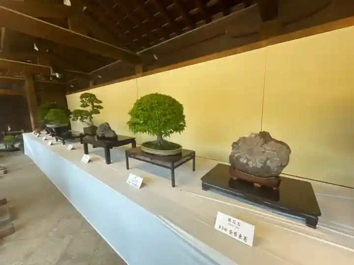 明治神宮(東京都)