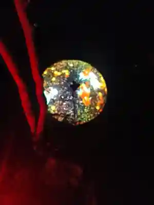 阿智神社の芸術